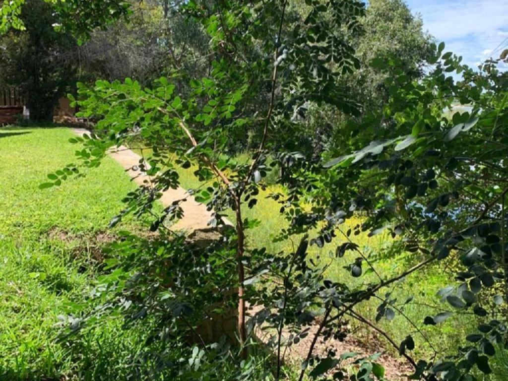 Juda Haus Lodge Katima Mulilo Eksteriør bilde